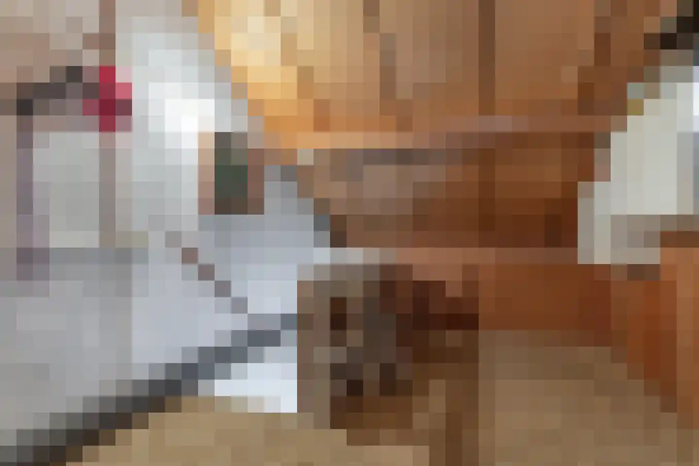 De Tilbarten 43 Goutum thumbnail 39