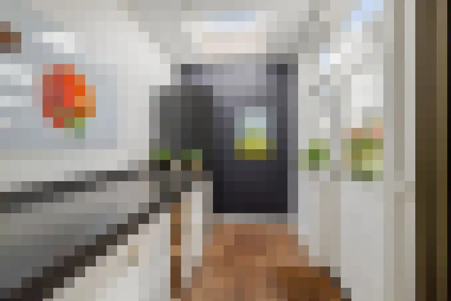 De Tilbarten 43 Goutum thumbnail 41