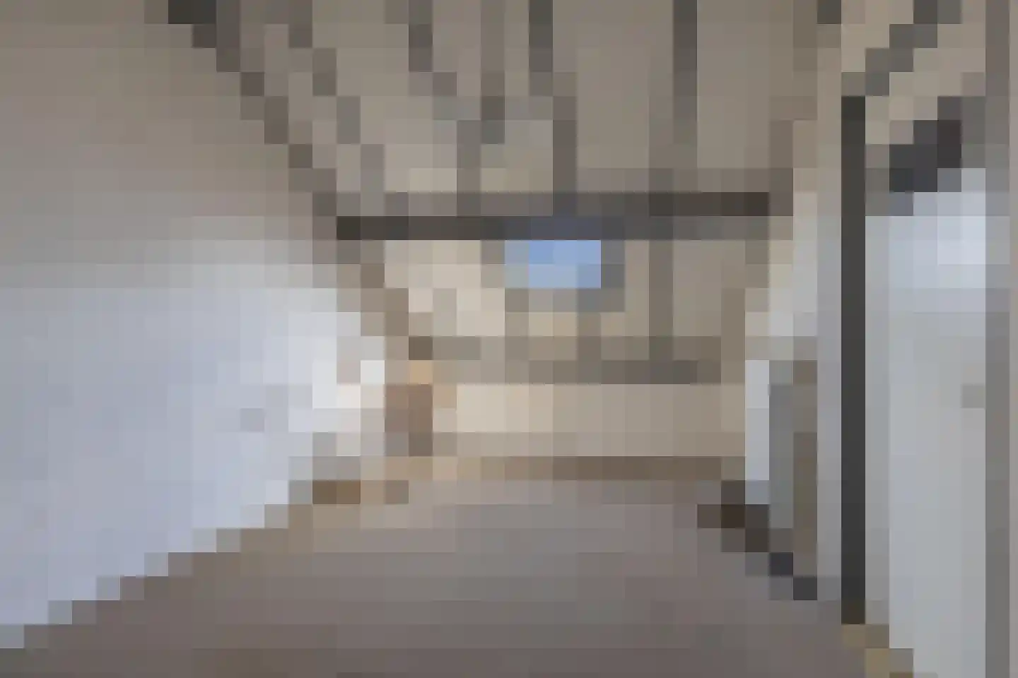 De Tilbarten 43 Goutum thumbnail 41