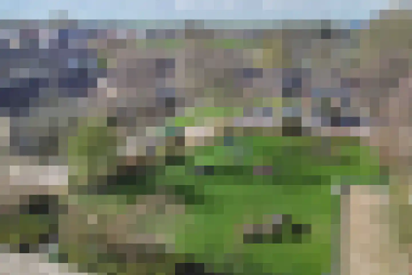 De Tilbarten 43 Goutum thumbnail 5