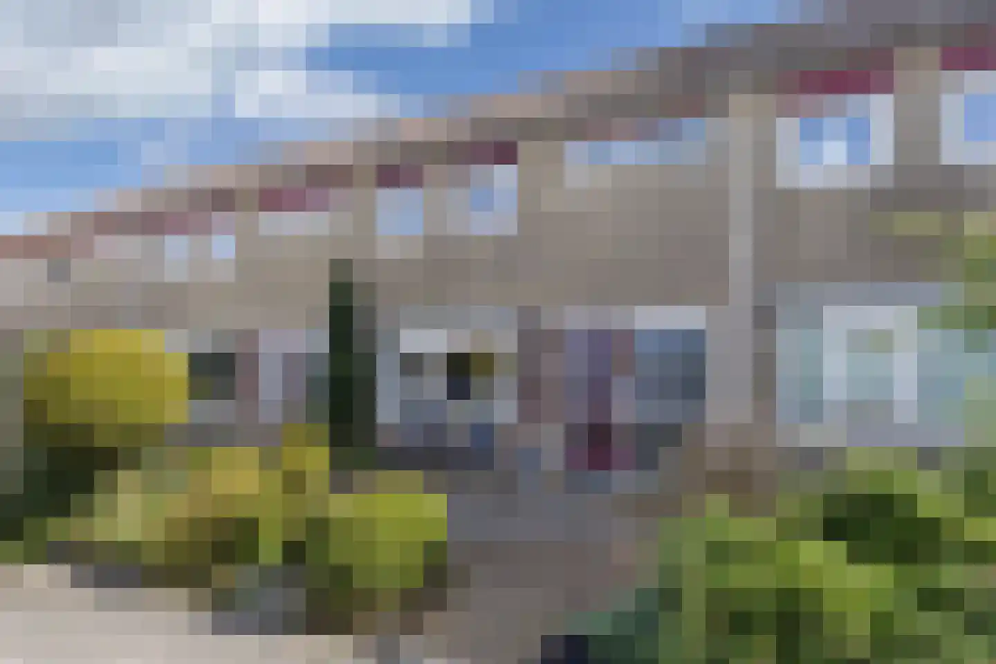 De Tilbarten 43 Goutum thumbnail 8