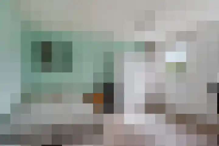 De Tilbarten 81 Goutum thumbnail 20