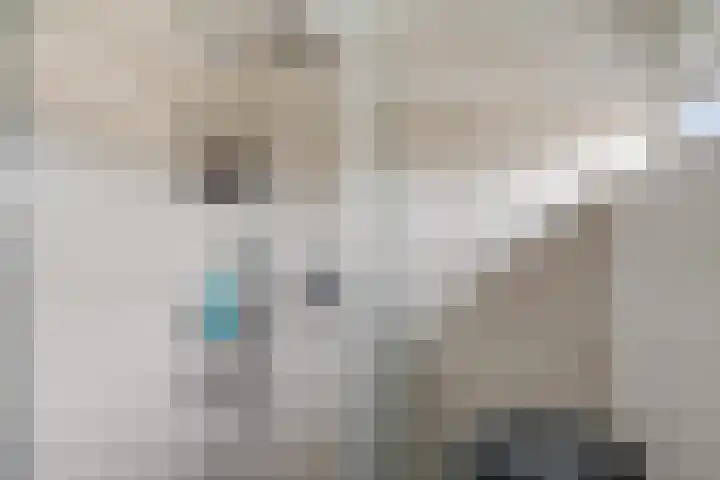 De Tilbarten 81 Goutum thumbnail 27
