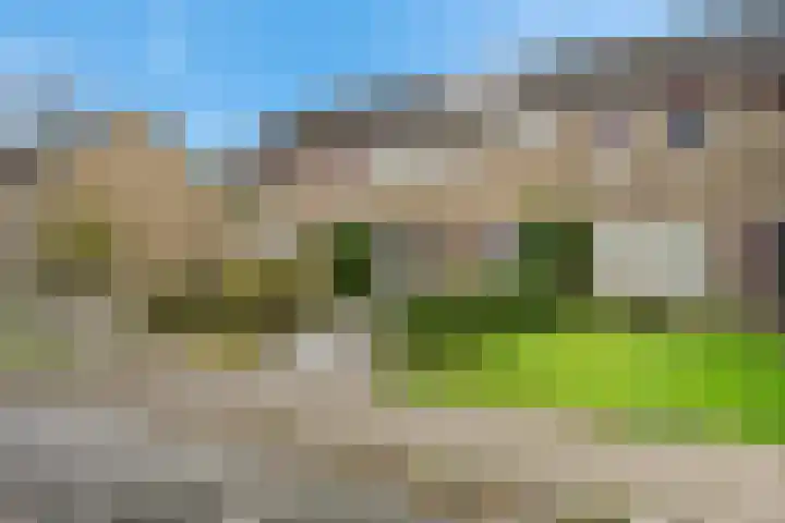 De Tilbarten 81 Goutum thumbnail 31
