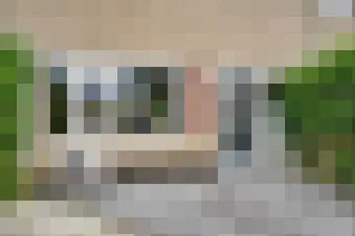 De Tilbarten 81 Goutum thumbnail 34