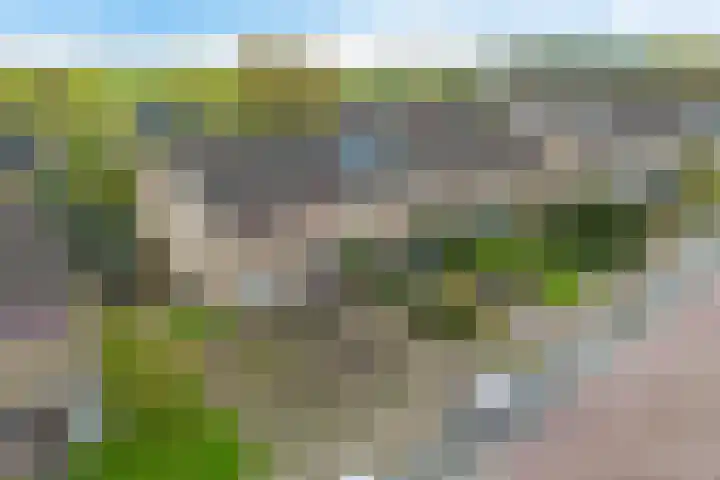 De Tilbarten 81 Goutum thumbnail 38