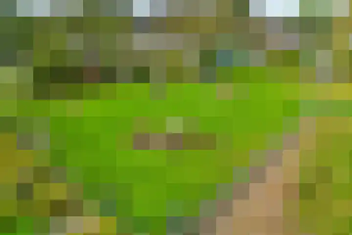 De Tilbarten 81 Goutum thumbnail 39