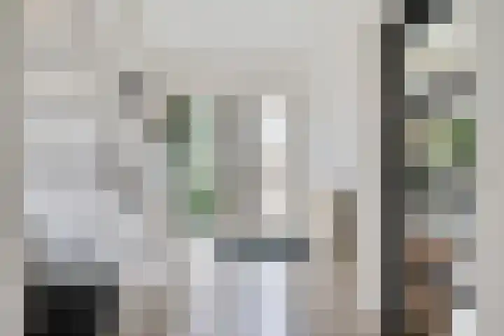 De Tilbarten 81 Goutum thumbnail 4