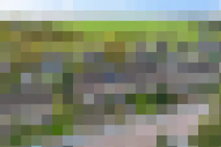 De Tilbarten 81 Goutum thumbnail 41