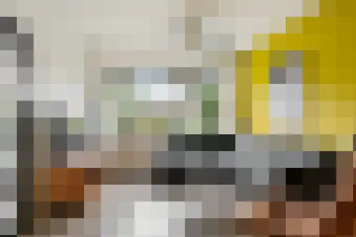 De Tilbarten 81 Goutum thumbnail 7