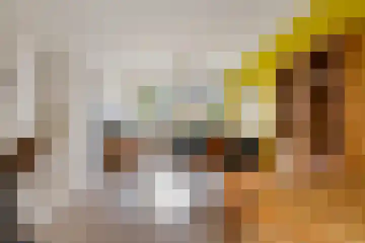 De Tilbarten 81 Goutum thumbnail 9