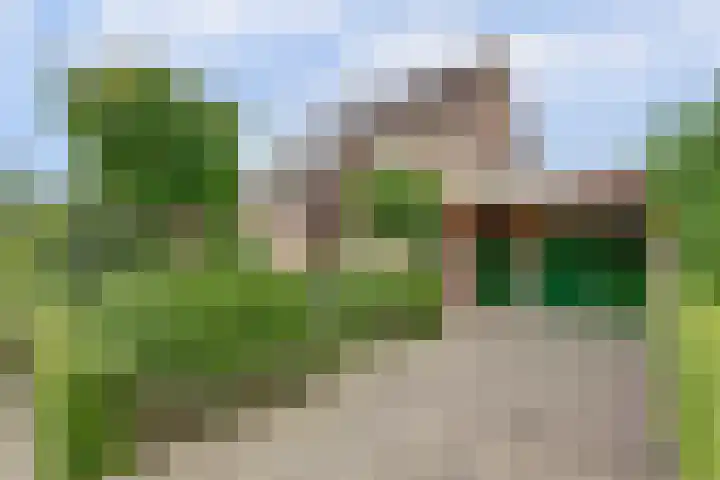 de Timp 7 Bemmel