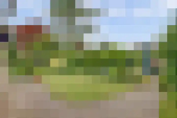 de Timp 7 Bemmel thumbnail 13
