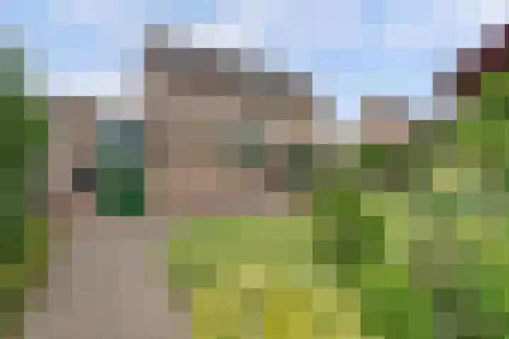 de Timp 7 Bemmel thumbnail 14