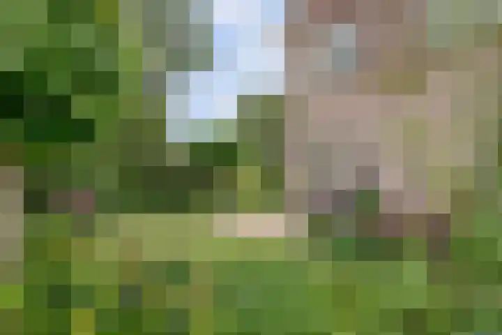 de Timp 7 Bemmel thumbnail 17