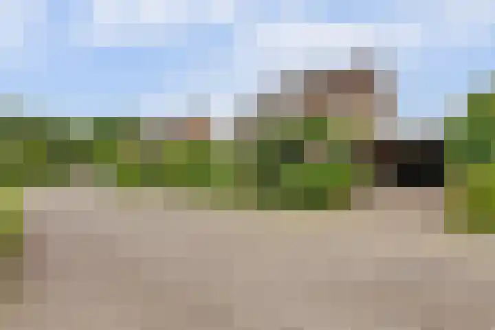 de Timp 7 Bemmel thumbnail 33