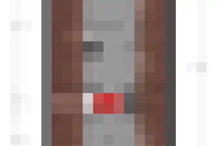 de Timp 7 Bemmel thumbnail 38