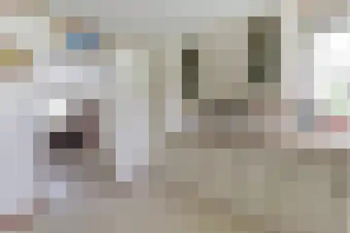 de Timp 7 Bemmel thumbnail 9