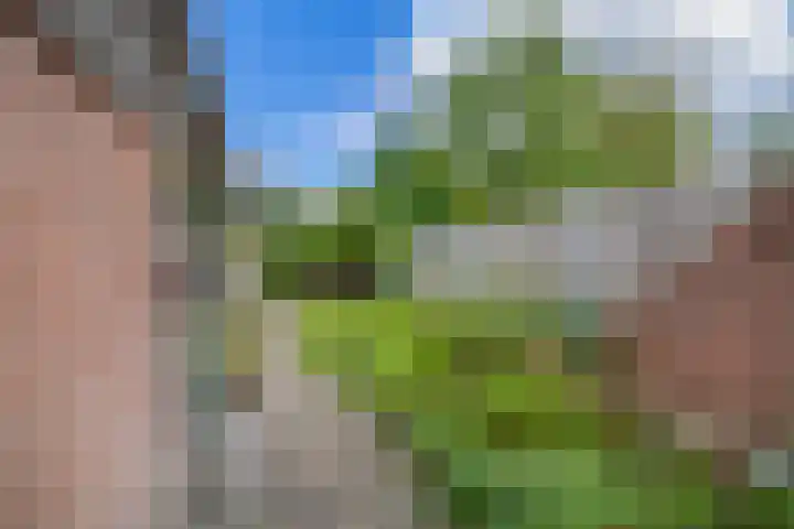 De Timpe 18 Balk thumbnail 27