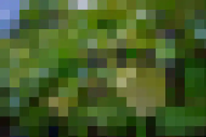 De Timpe 18 Balk thumbnail 28