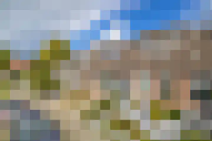 De Timpe 18 Balk thumbnail 29
