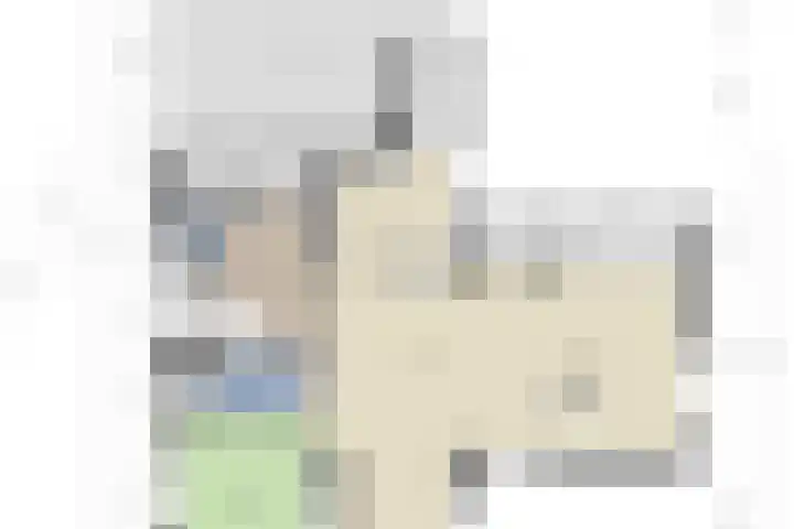 de Tinge 8 Appingedam thumbnail 10