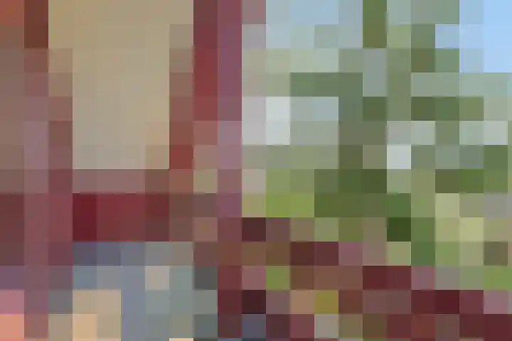 de Tinge 8 Appingedam thumbnail 31