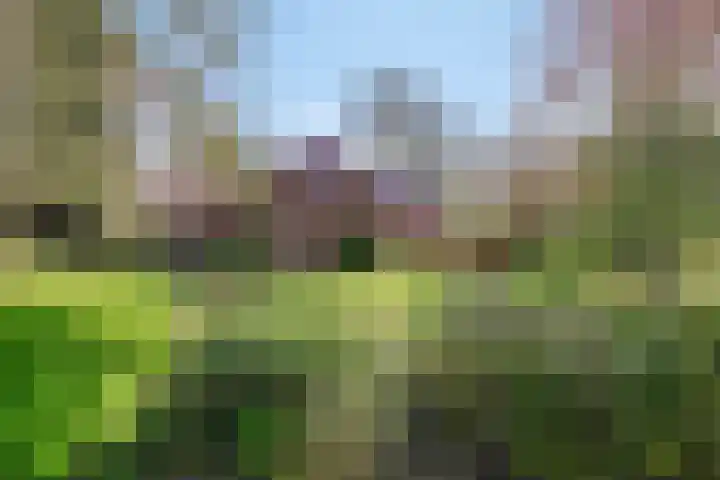 de Tinge 8 Appingedam thumbnail 37