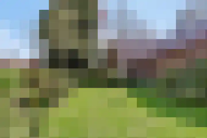 de Tinge 8 Appingedam thumbnail 38