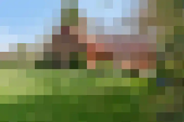 de Tinge 8 Appingedam thumbnail 40