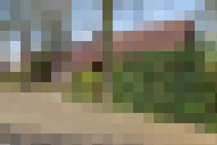 de Tinge 8 Appingedam thumbnail 44
