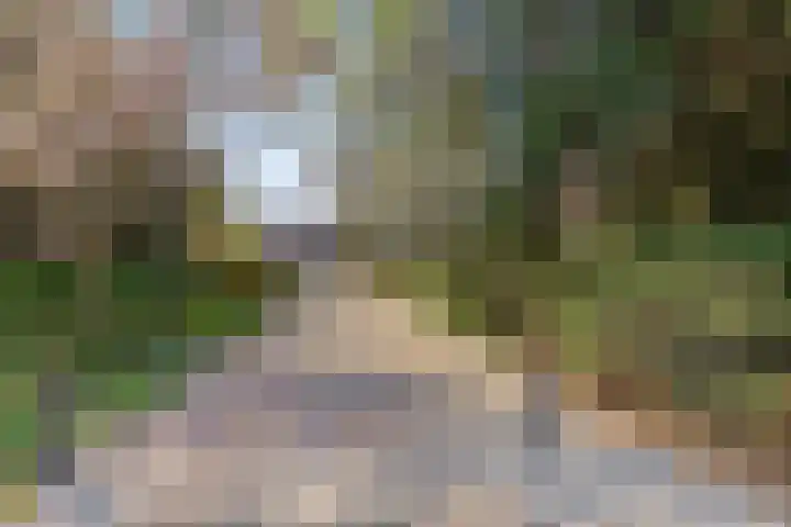 de Tinge 8 Appingedam thumbnail 46