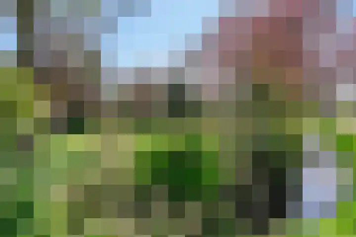 de Tinge 8 Appingedam thumbnail 48