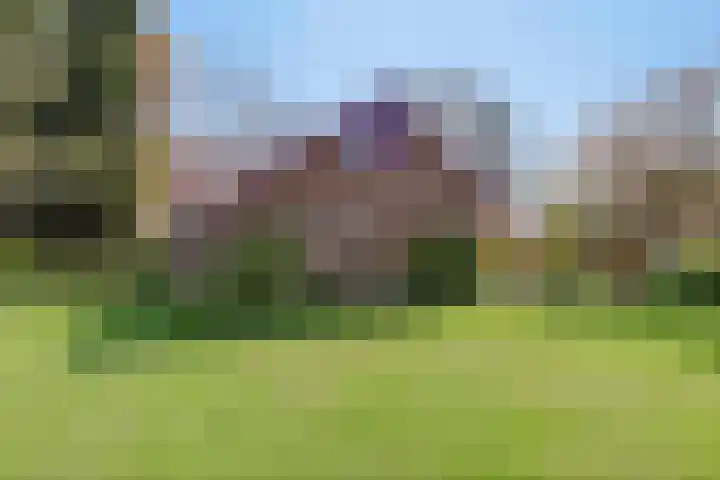 de Tinge 8 Appingedam thumbnail 7