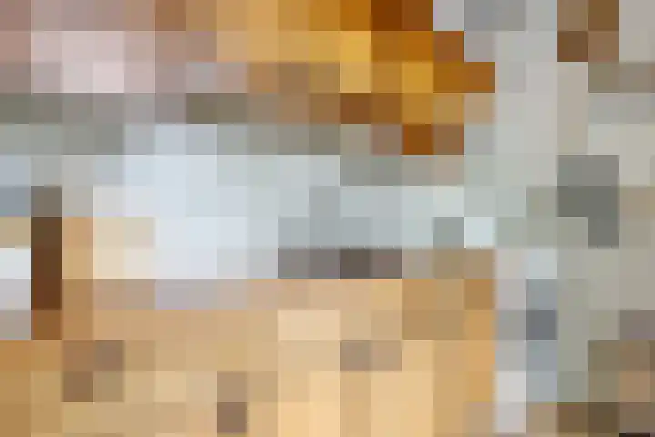 De Tip 10 Herveld thumbnail 19