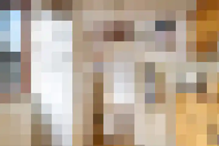 De Tip 10 Herveld thumbnail 22