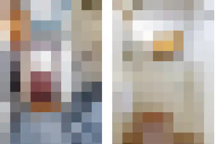 De Tip 10 Herveld thumbnail 24