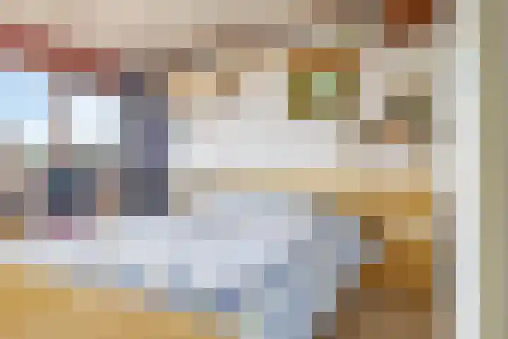 De Tip 10 Herveld thumbnail 27