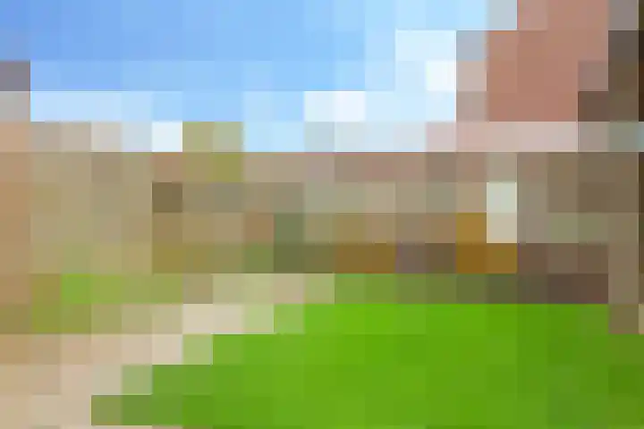 De Tip 10 Herveld thumbnail 43