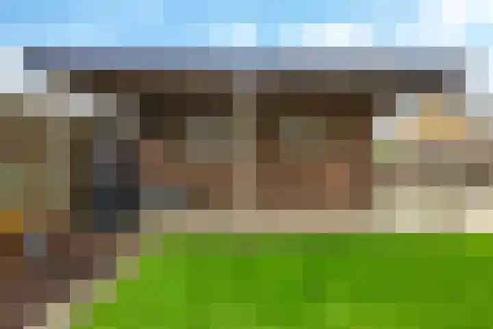 De Tip 10 Herveld thumbnail 45