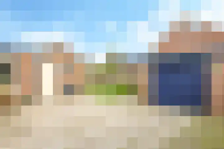 De Tip 10 Herveld thumbnail 48
