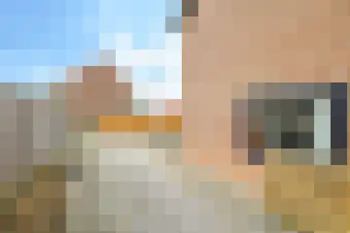 De Tip 10 Herveld thumbnail 49