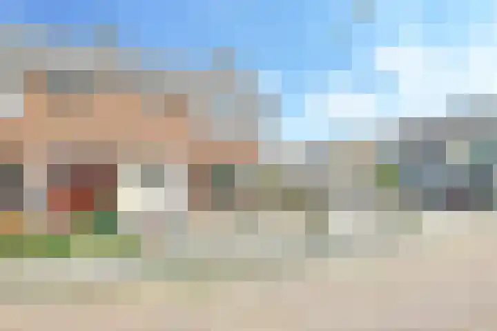 De Tip 10 Herveld thumbnail 57