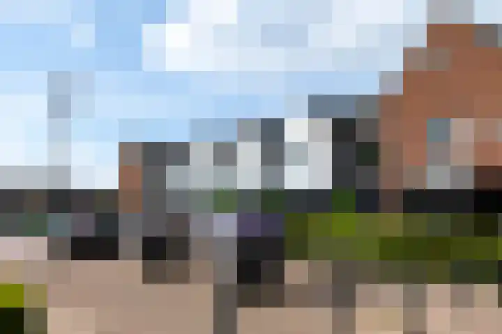 De Tip 10 Herveld thumbnail 61