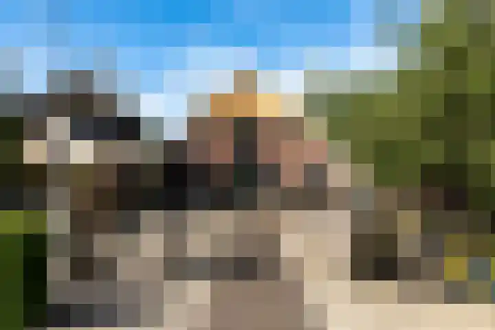 De Tip 10 Herveld thumbnail 64