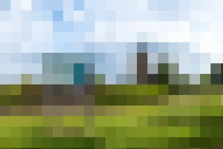 De Tip 10 Herveld thumbnail 65