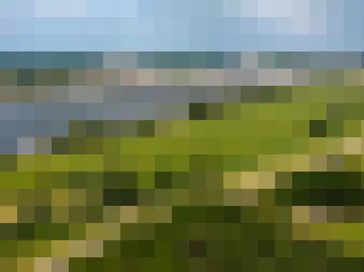 De Tip 10 Herveld thumbnail 69