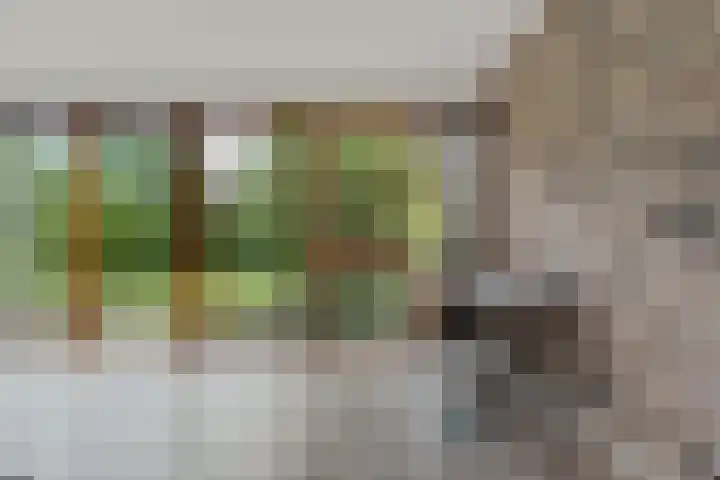 De Tip 29 De Kiel thumbnail 23