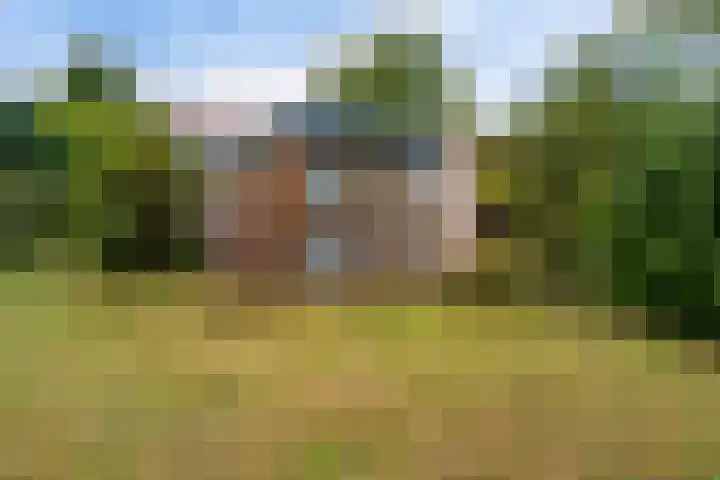 De Tip 29 De Kiel thumbnail 32