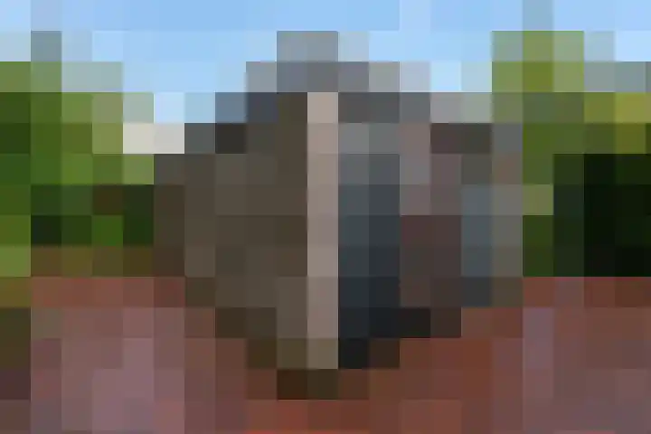 De Tip 29 De Kiel thumbnail 35